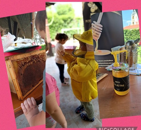 Od pčele do meda