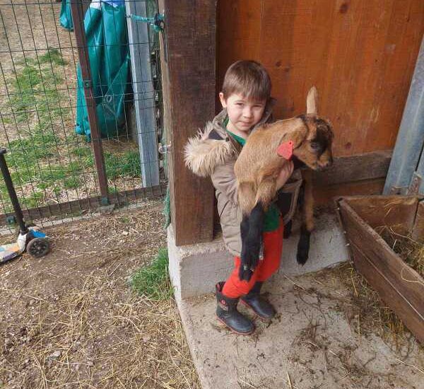 Tjedan domaćih životinja