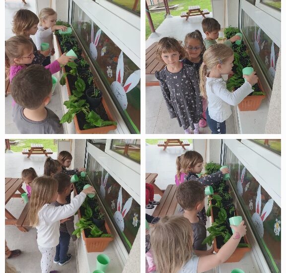 Leptirići se brinu o svojim biljkama