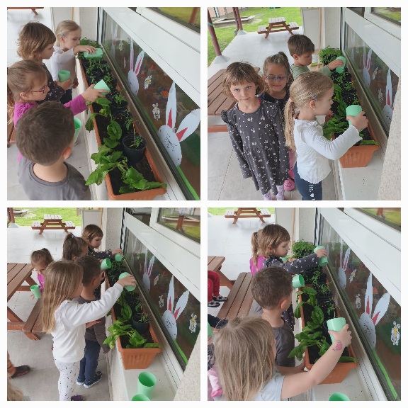 Leptirići se brinu o svojim biljkama