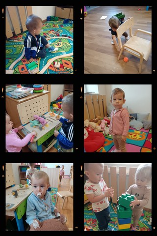 Prvi tjedni u Pčelicama