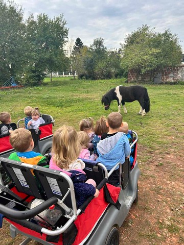 Koga smo sreli u šetnji?!
