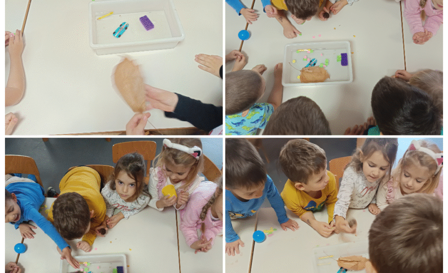 Leptirići – mali istraživači