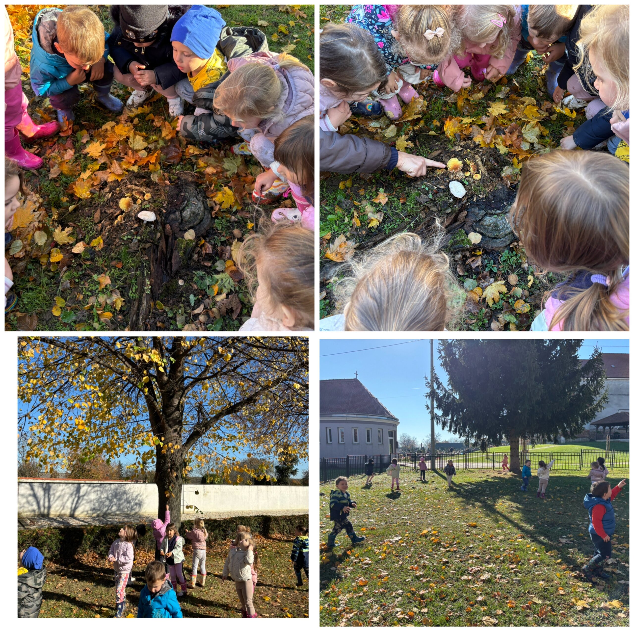 Što mi šapuće jesen, otkrivali su naši Leptirići