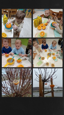 Siječanj u Bubamarama