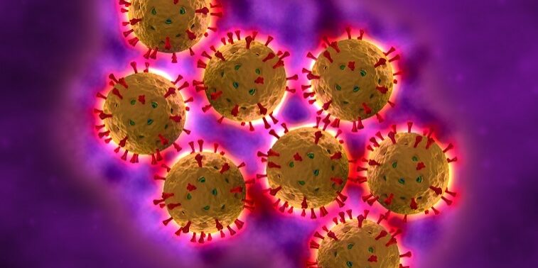 Rotavirus