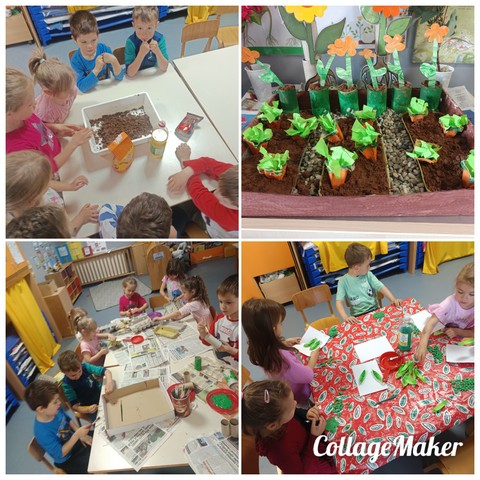 Od sjemena do ploda – mali vrtlari u akciji