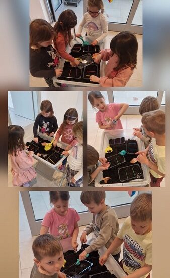 Zvjezdice sade svoje vrtove