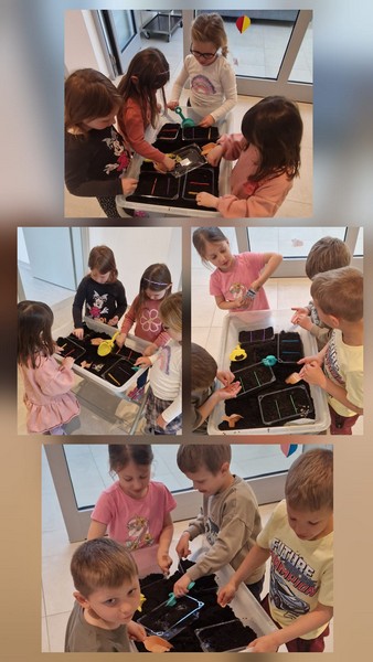 Zvjezdice sade svoje vrtove