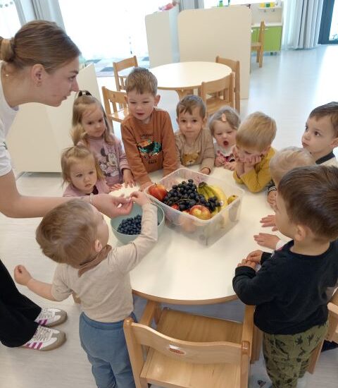 Slatki voćni ražnjići