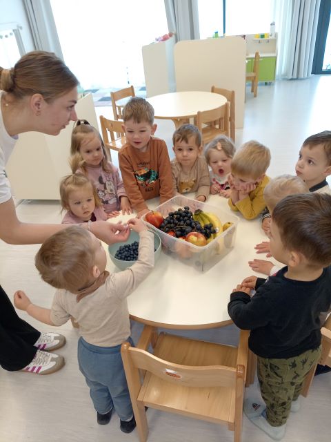 Slatki voćni ražnjići